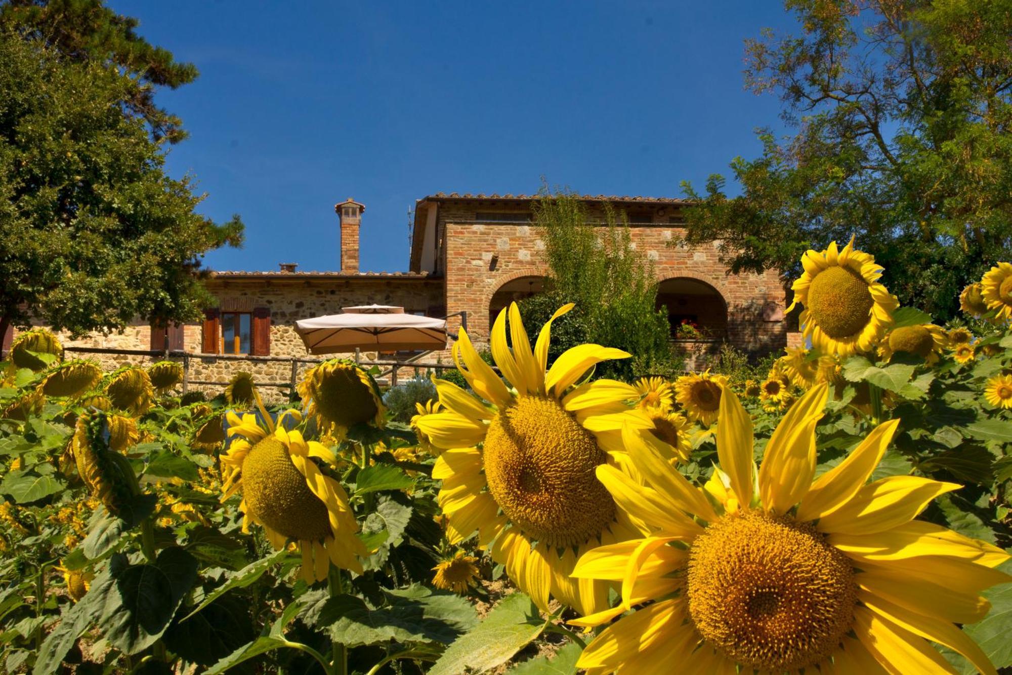 Poggio Cantarello Vacanze Chiusi Exterior foto