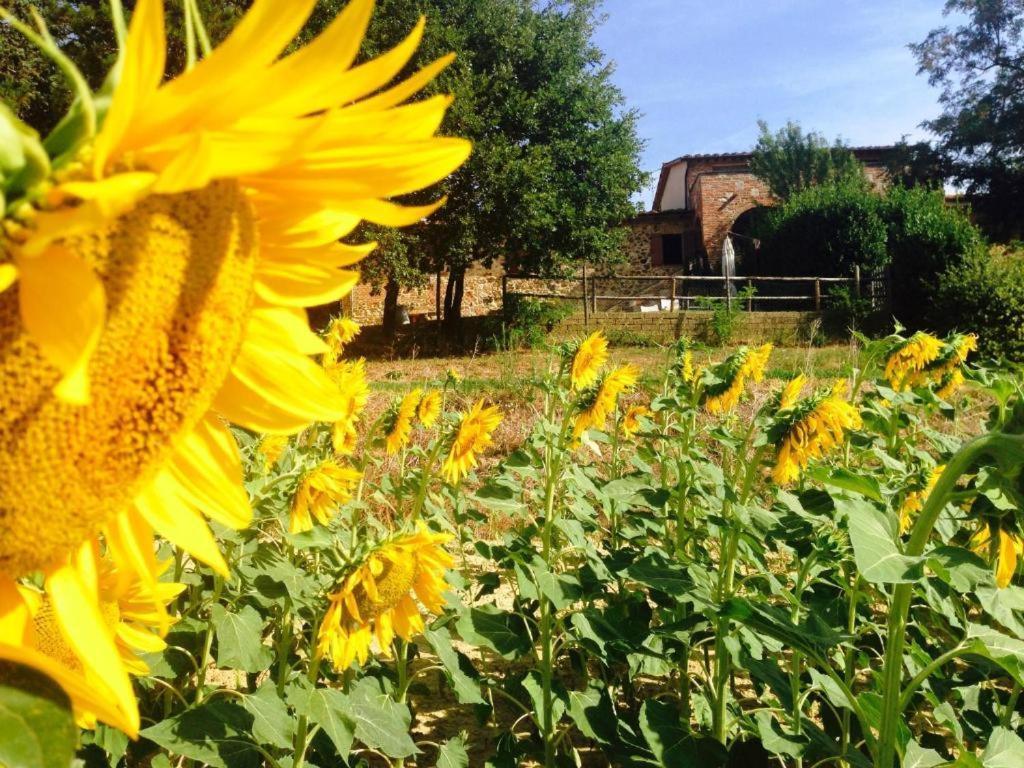 Poggio Cantarello Vacanze Chiusi Exterior foto