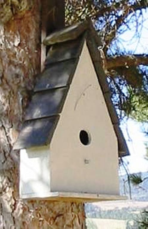 Poggio Cantarello Vacanze Chiusi Exterior foto