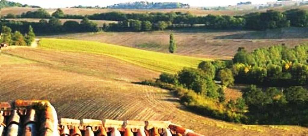 Poggio Cantarello Vacanze Chiusi Exterior foto