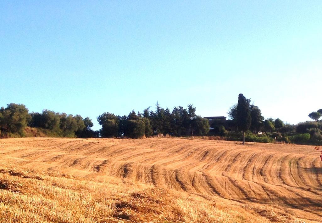 Poggio Cantarello Vacanze Chiusi Exterior foto