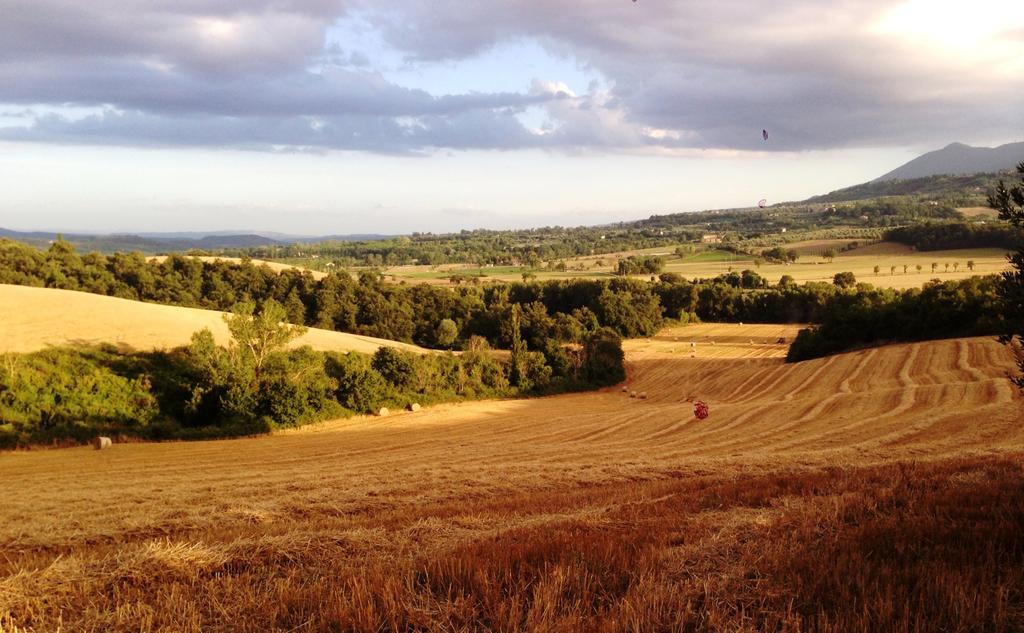 Poggio Cantarello Vacanze Chiusi Exterior foto